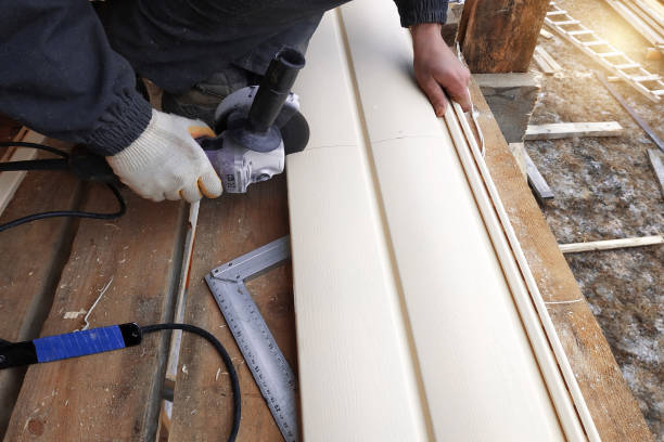 Best Insulated Siding Installation  in Cheval, FL